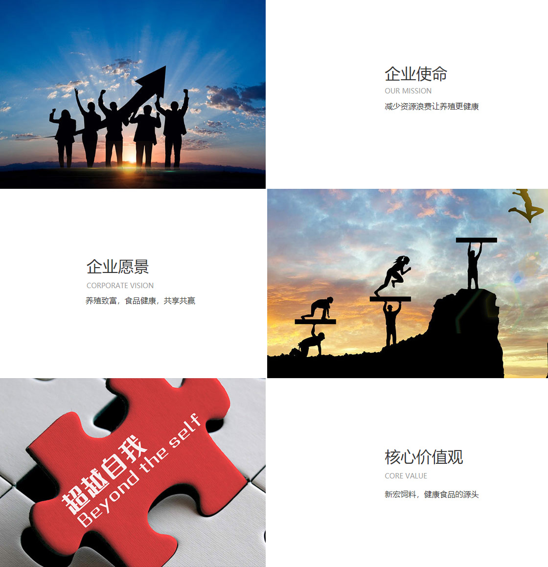 BIBO必博官方网址(图1)